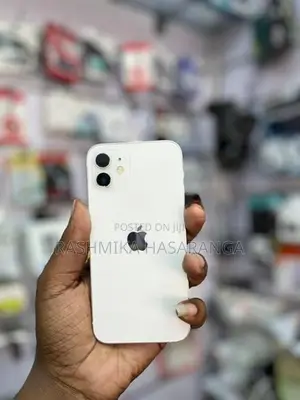 Apple iPhone 12 (Used)