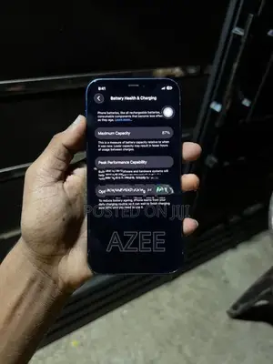 Apple iPhone 12 (Used)