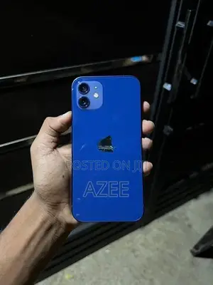 Apple iPhone 12 (Used)