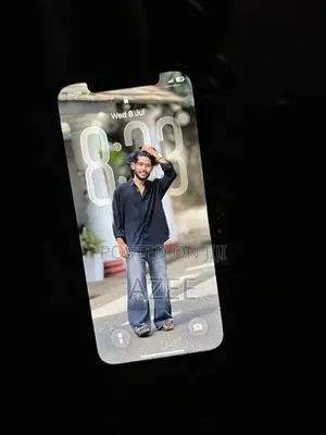 Apple iPhone 12 (Used)