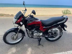 Hero Passion Plus 2010