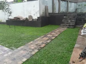 Malaysian Grass