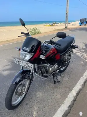 Hero Passion Plus 2010