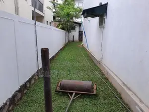 Malaysian Grass