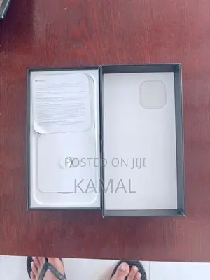 Apple iPhone 12 Pro Max Box
