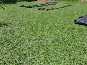 Malaysian Grass