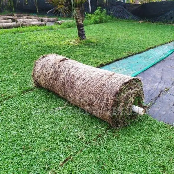 Malaysian Grass With Interlock Paving
