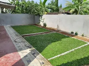 Malaysian Grass Interlock Stones