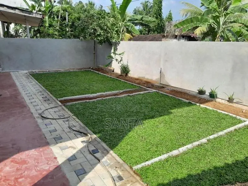 Malaysian Grass Interlock Stones