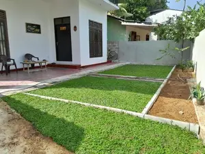 Malaysian Grass Interlock Stones