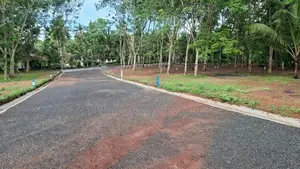 දිවුලපිටිය බිම්කොටස්