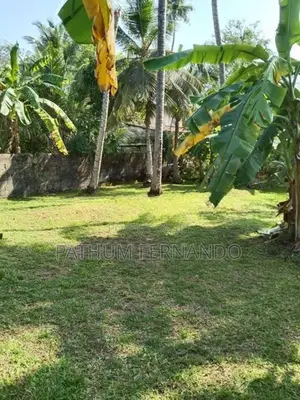 Land for Sale Panadura