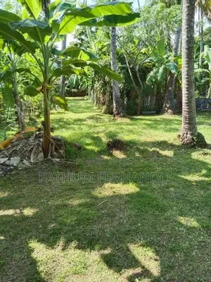 Land for Sale Panadura