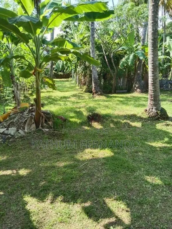 Land for Sale Panadura