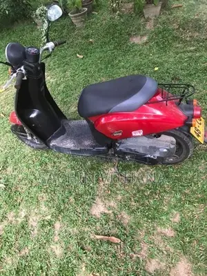 Honda Today 2024