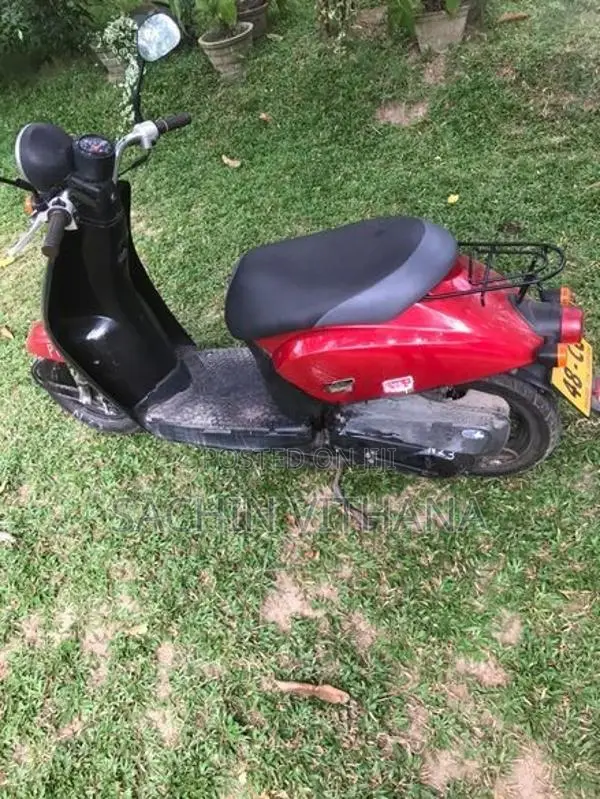 Honda Today 2024