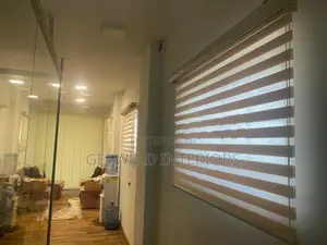 Zebra Blinds