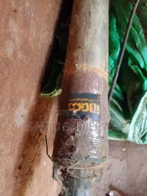 නල ලිං මෝටරය