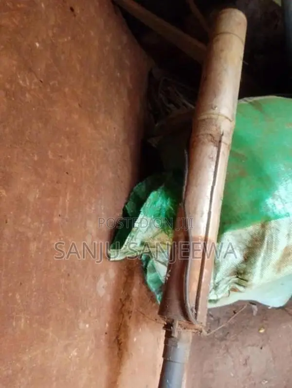 නල ලිං මෝටරය