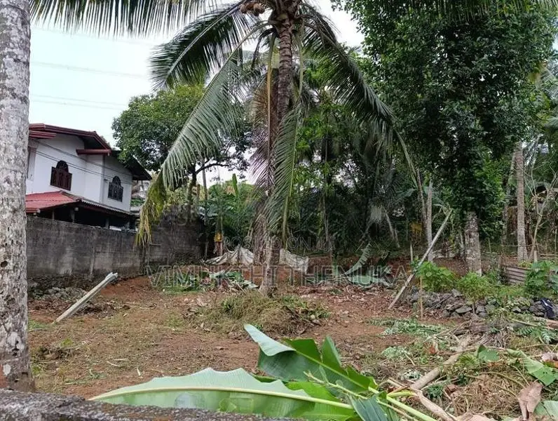 Prime 12 Perch Land for Sale in Delgoda