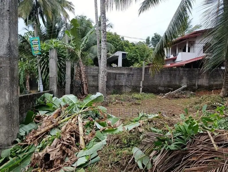 Prime 12 Perch Land for Sale in Delgoda