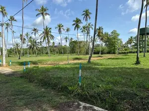 වාරියපොල නගරයට නුදුරින් සින්නක්කර බිම්කොටසක් විකිණීමට