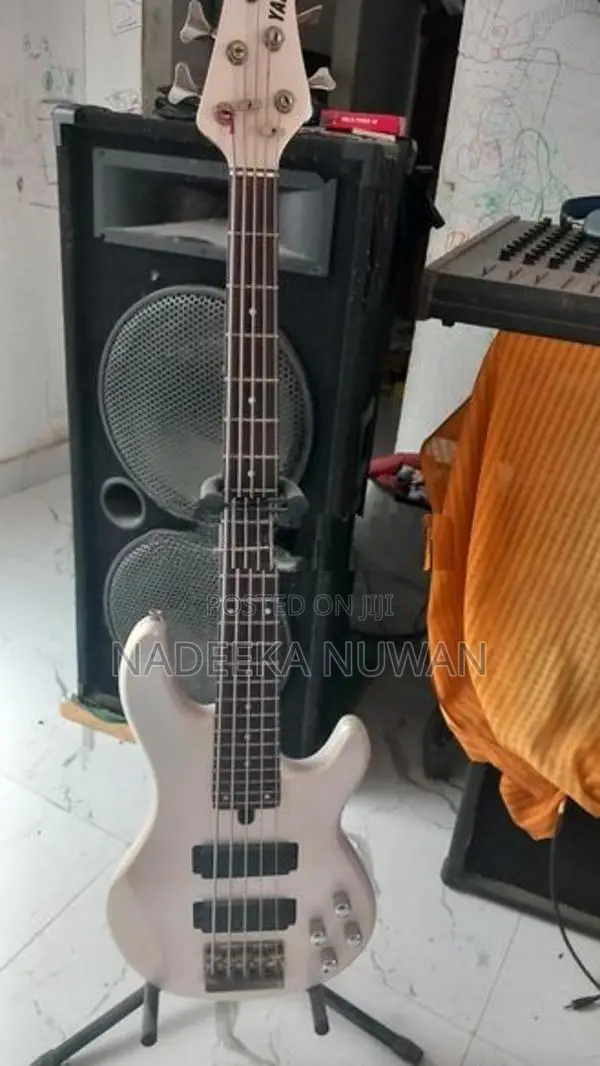 bass guitar bbg5s