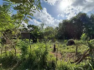 Peaceful Residential Land for Sale Anuradhapura