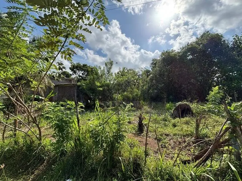Peaceful Residential Land for Sale Anuradhapura