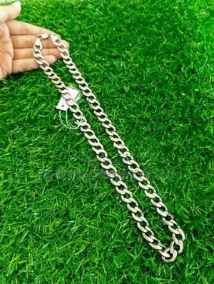 Silver Chain 65G 500MG