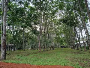 Land දියුලපිටිය කොළඹ කුරුණෑගල බස් පාරට මීටර් 500යි