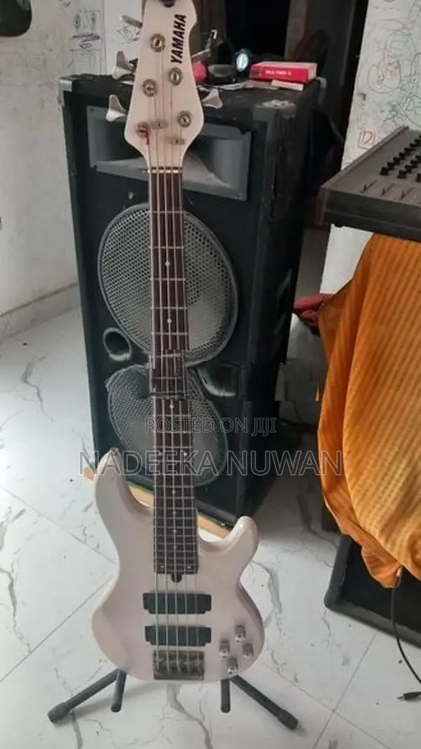 bass guitar bbg5s