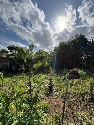 Peaceful Residential Land for Sale Anuradhapura