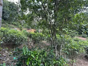 උඩුගම බස් පාර අතේ දුරින් ජයන්ති හන්දියෙන් බිම්කොටස්