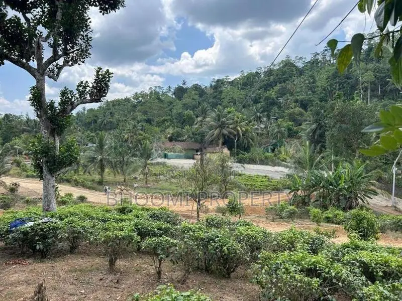 ‎ගාල්ල උඩුගම බිම කොටස්
