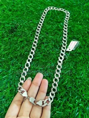 Silver Chain 65G 500MG