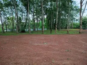 Land දියුලපිටිය කොළඹ කුරුණෑගල බස් පාරට මීටර් 500යි