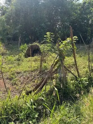 Peaceful Residential Land for Sale Anuradhapura