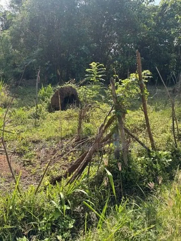 Peaceful Residential Land for Sale Anuradhapura