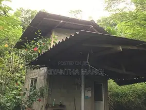 අක්කර 5 තේ පුවක් ගම්මිරිස් ඉඩමක් විකිනීමට - දැරනියගල