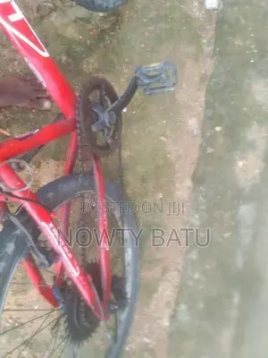 Mountain Bicycle