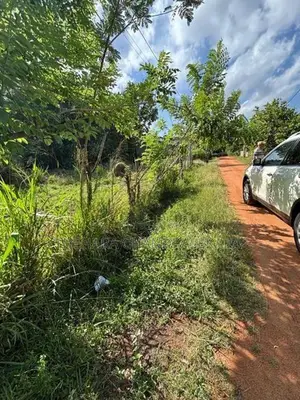 Peaceful Residential Land for Sale Anuradhapura