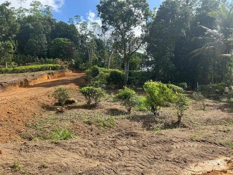 උඩුගම බස් පාර අතේ දුරින් ජයන්ති හන්දියෙන් බිම්කොටස්