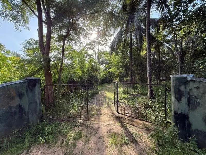 Land for Sale in Mahawa