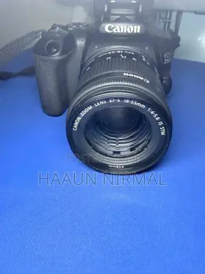 250 d