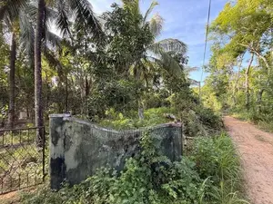 Land for Sale in Mahawa