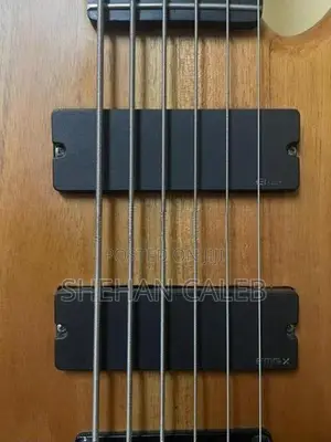Bass Guitar