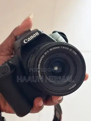 250 d