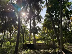 Land for Sale in Mahawa