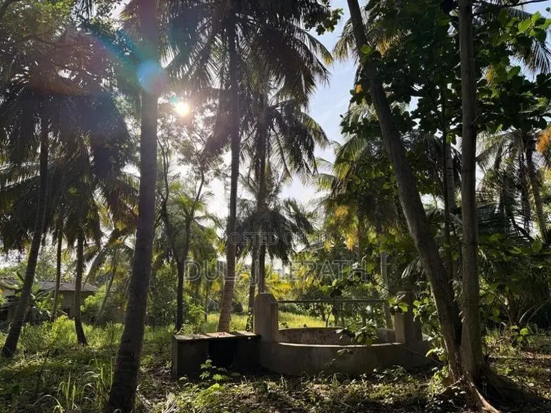 Land for Sale in Mahawa